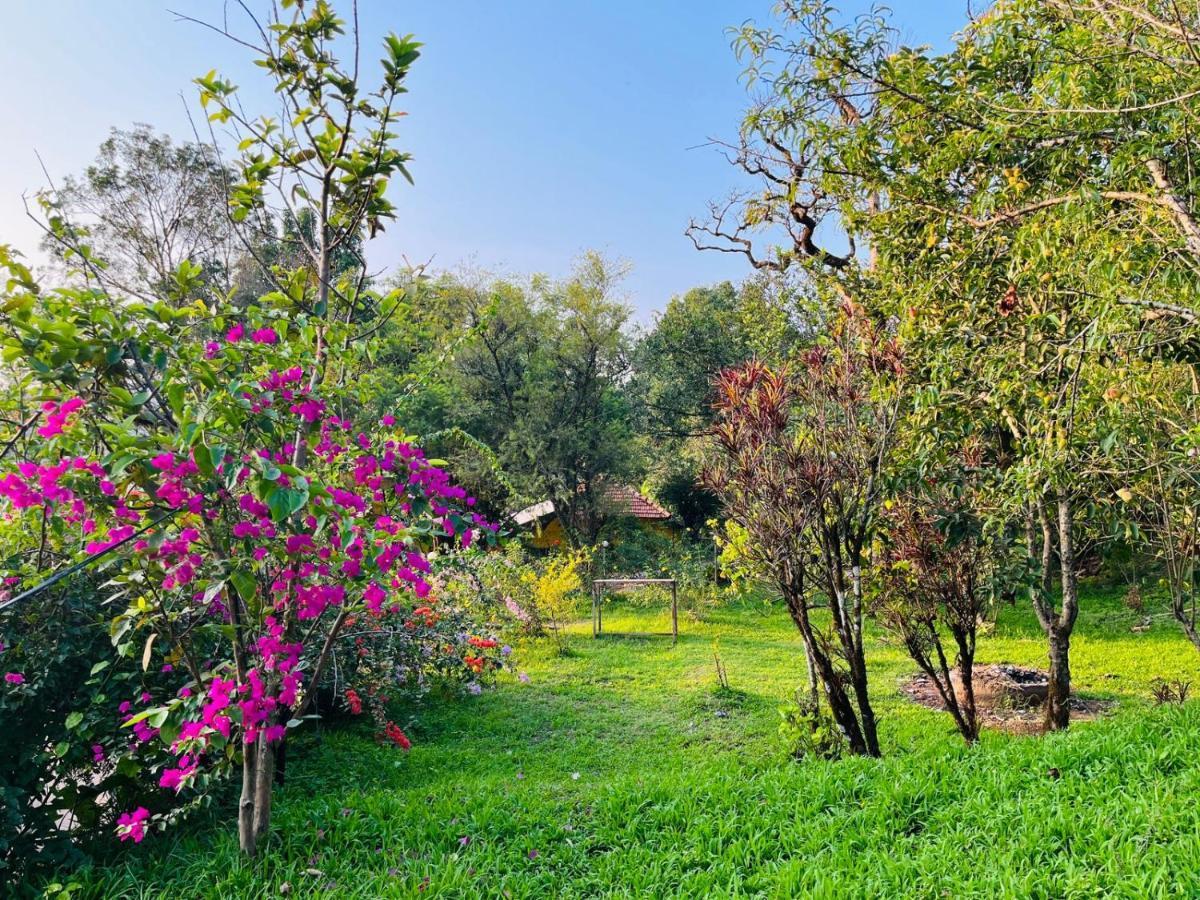 Coorg Daffodil Guesthouse Madikeri Exterior photo